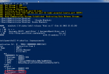 如何获取Windows 8.1&Server 2012的WDigest密码 ?