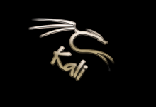 raspbian系统如何安装Kali tools？